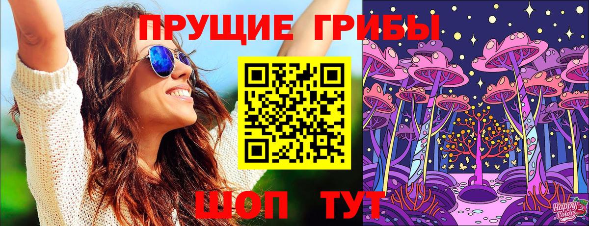 Назрань  Галлюциногенные грибы Psilocybe  Вход с VPN 