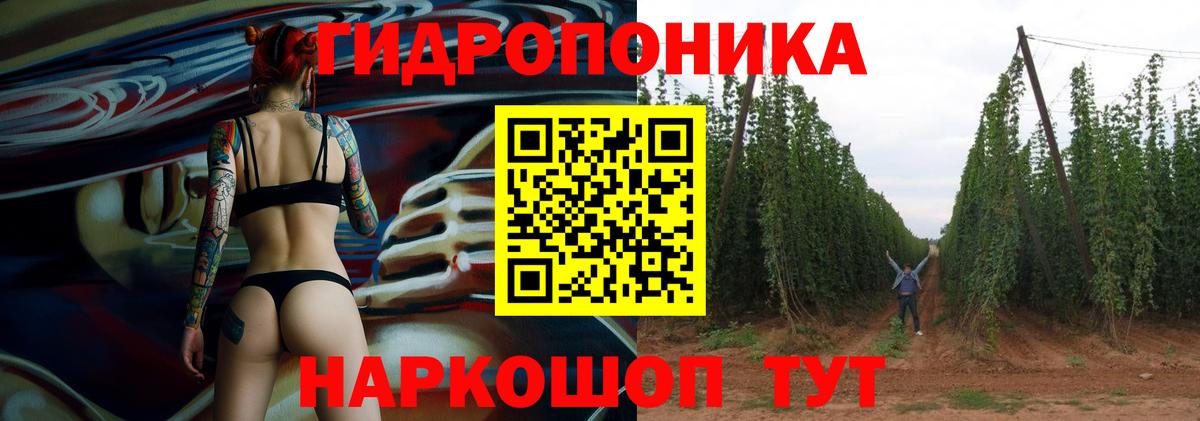 Шишки марихуана сатива Назрань